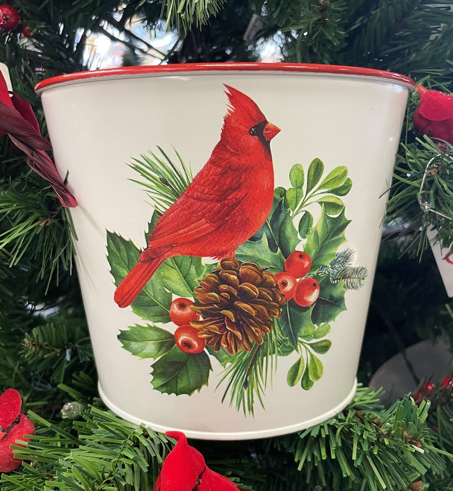 wh pot w/ cardinal 6.5'