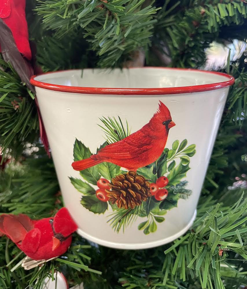 wh pot w/ cardinal 5'