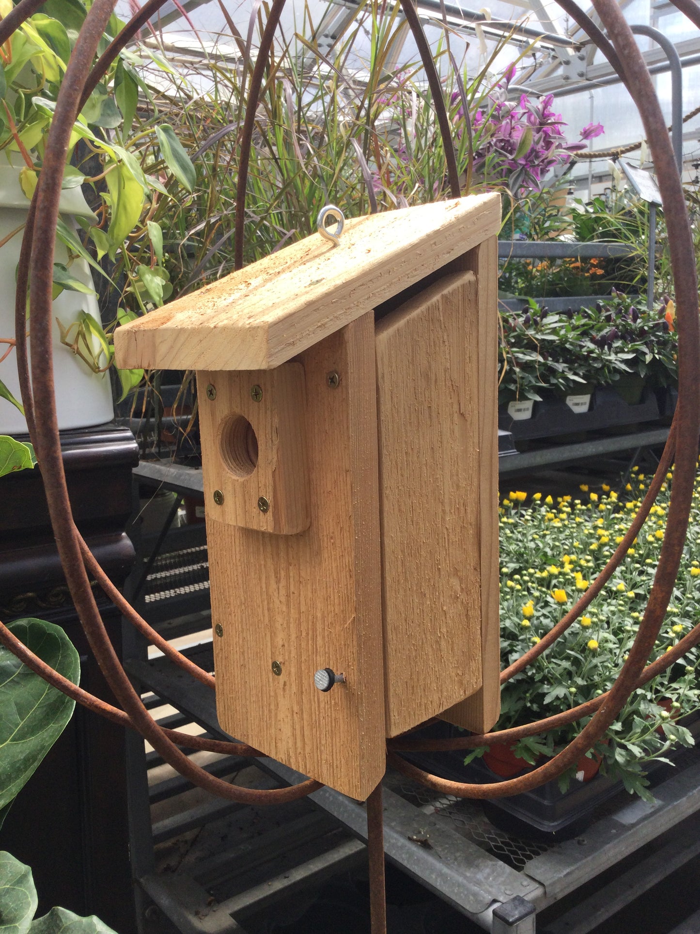 small hanging wren house