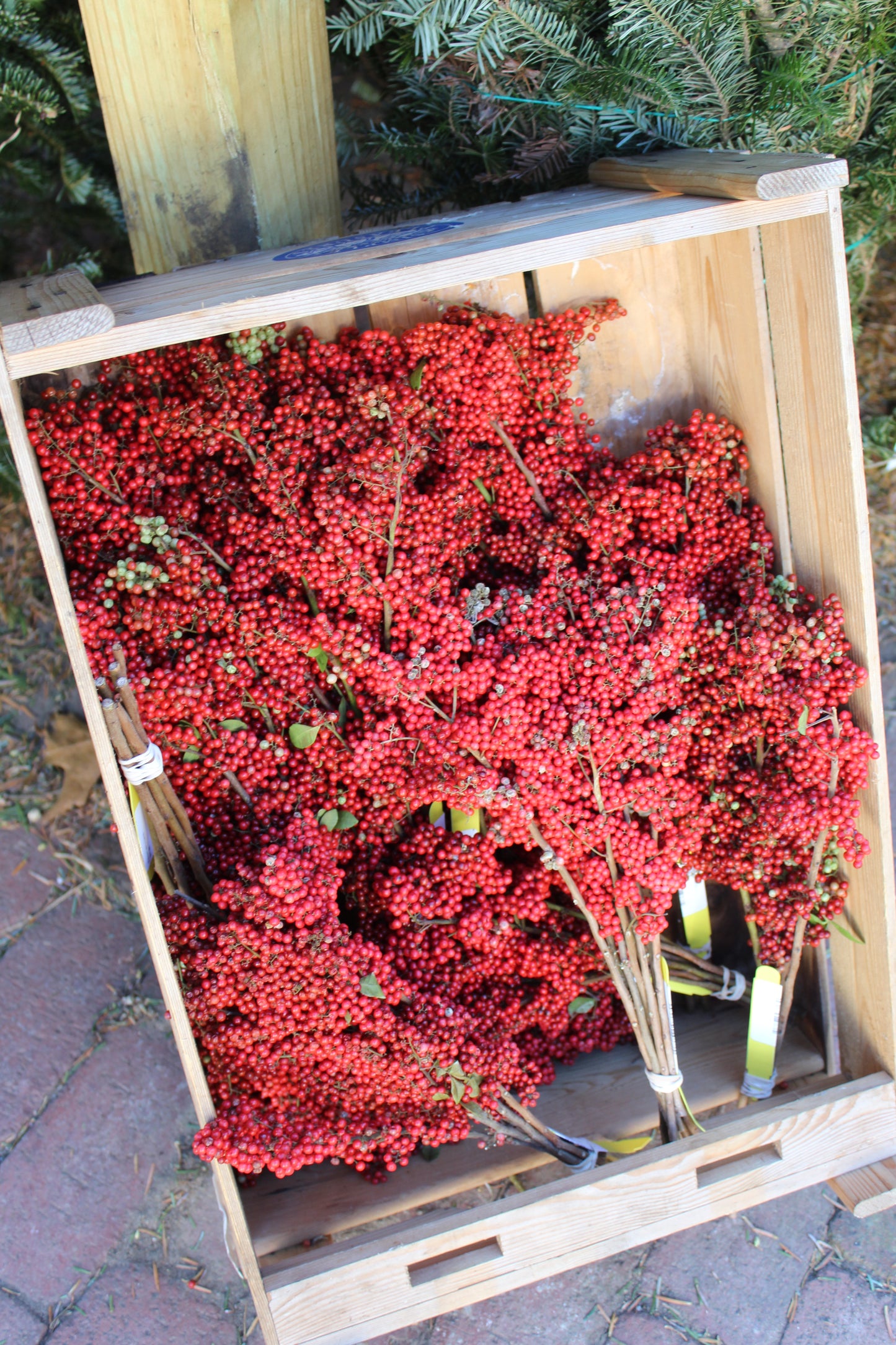 Pepper berry bunch 1/2lb