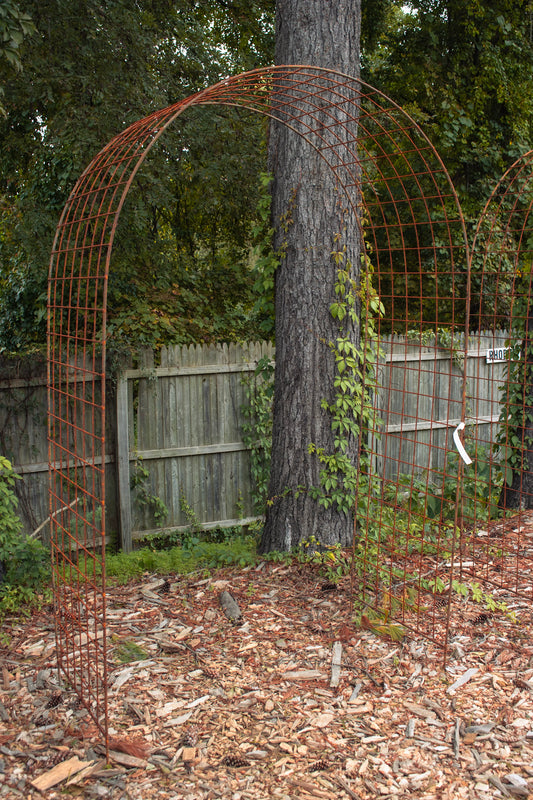 Lg Arbor