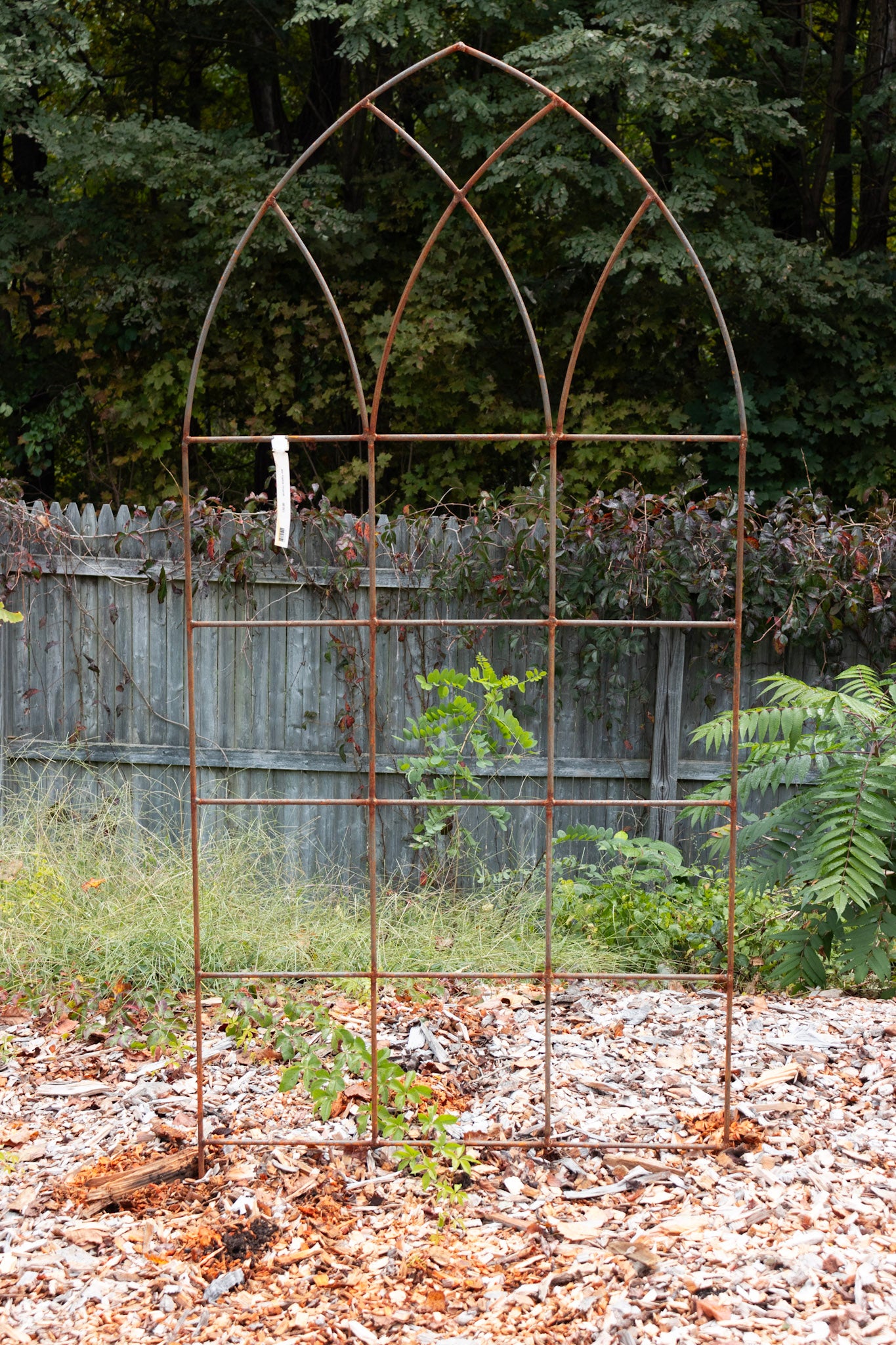 6ft garden plant trellis gothic trellis 6ft
