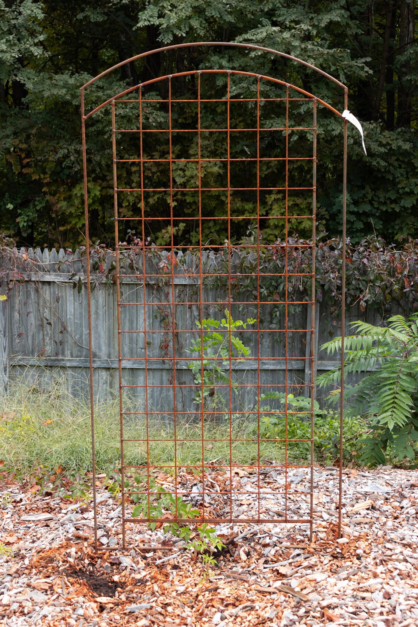 round wood trellis radius top trellis 3ft – Bosco's Garden Center