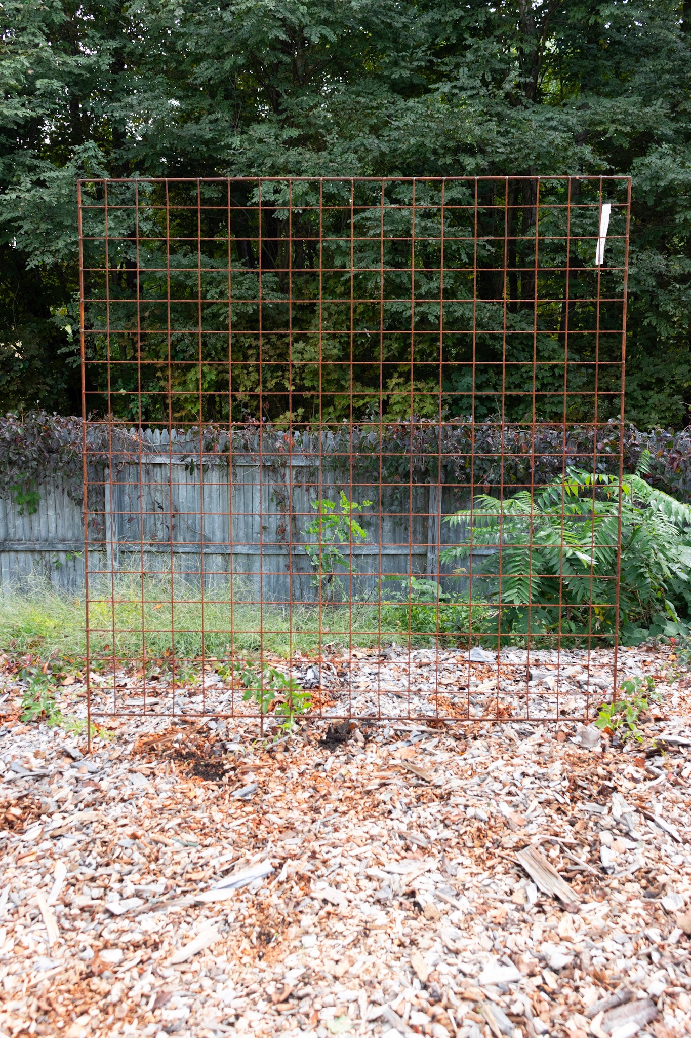 flat top trellis 66