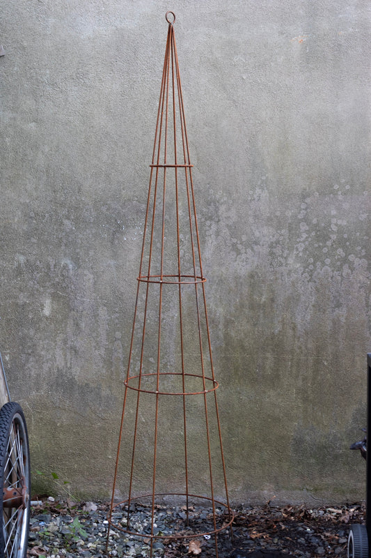 Lg Cone