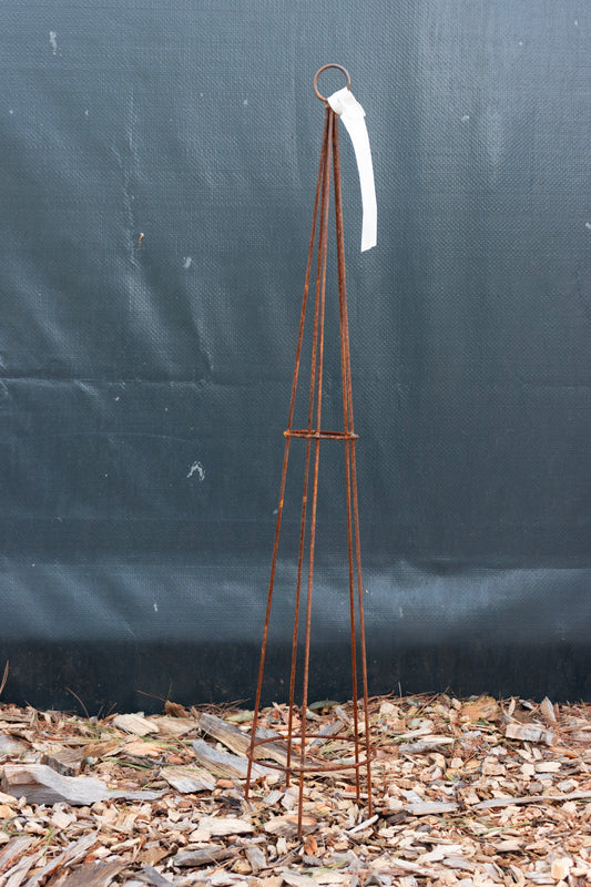 Sm Cone
