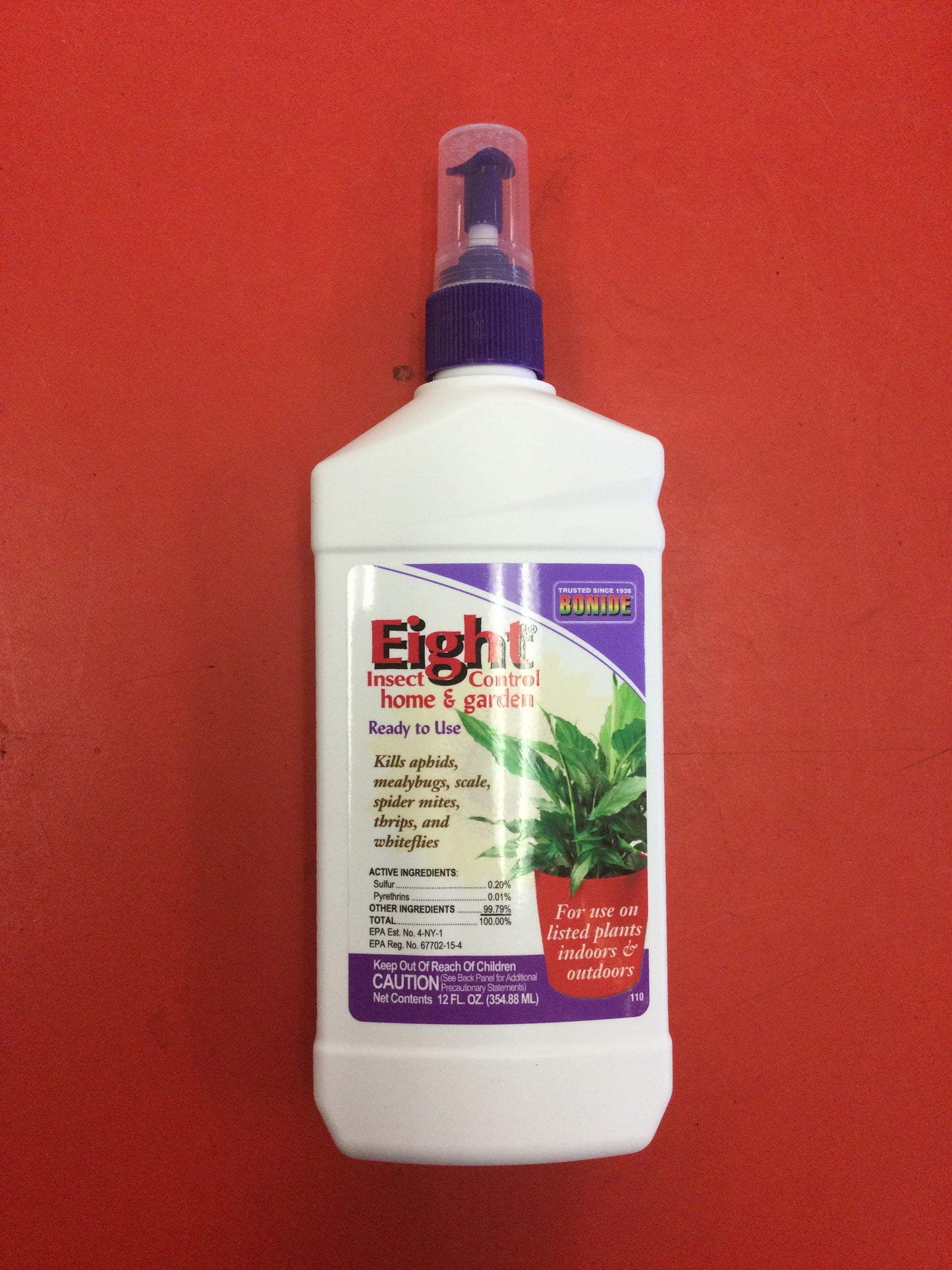 eight houseplant insect