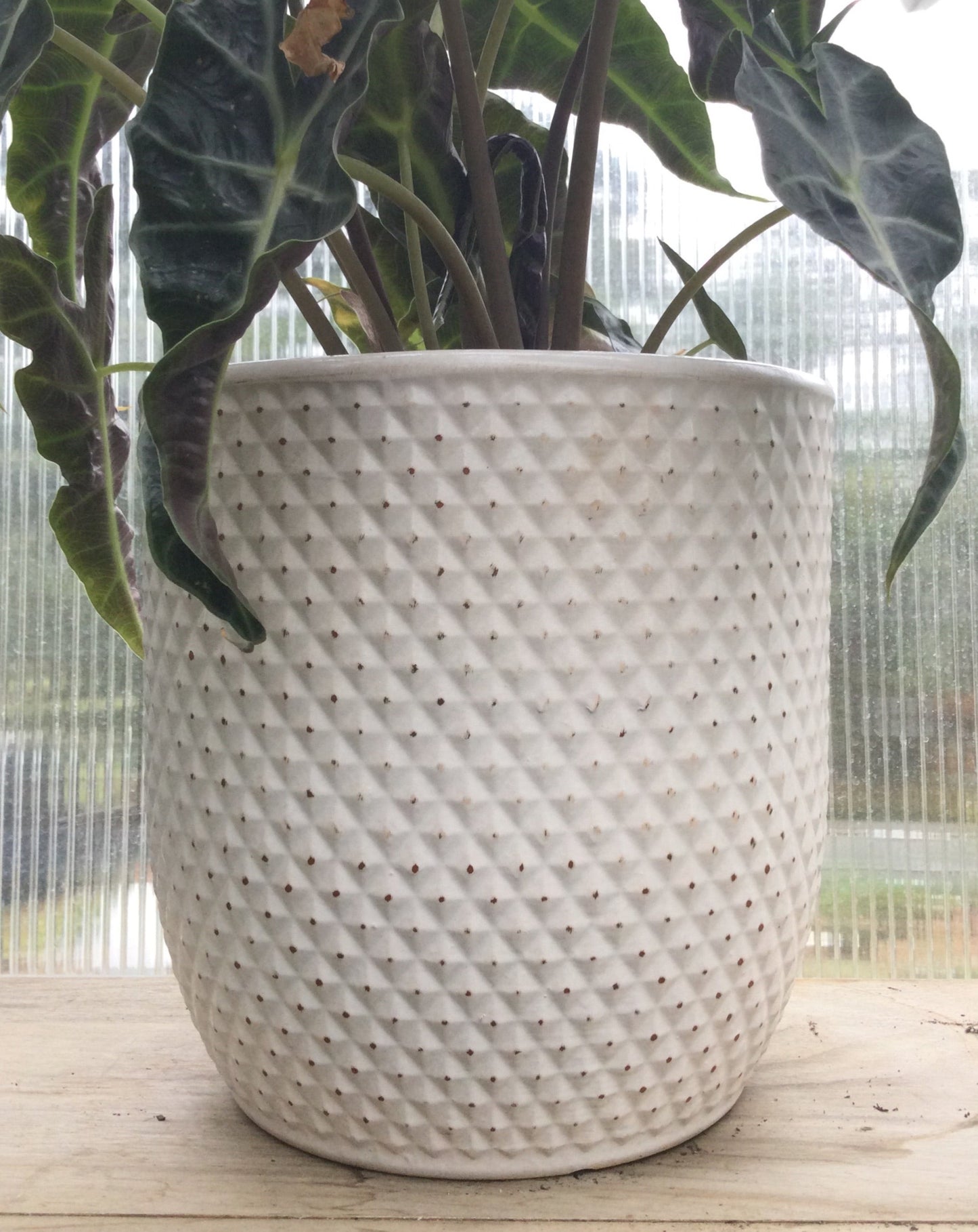 Antique drop in pot 8' WH