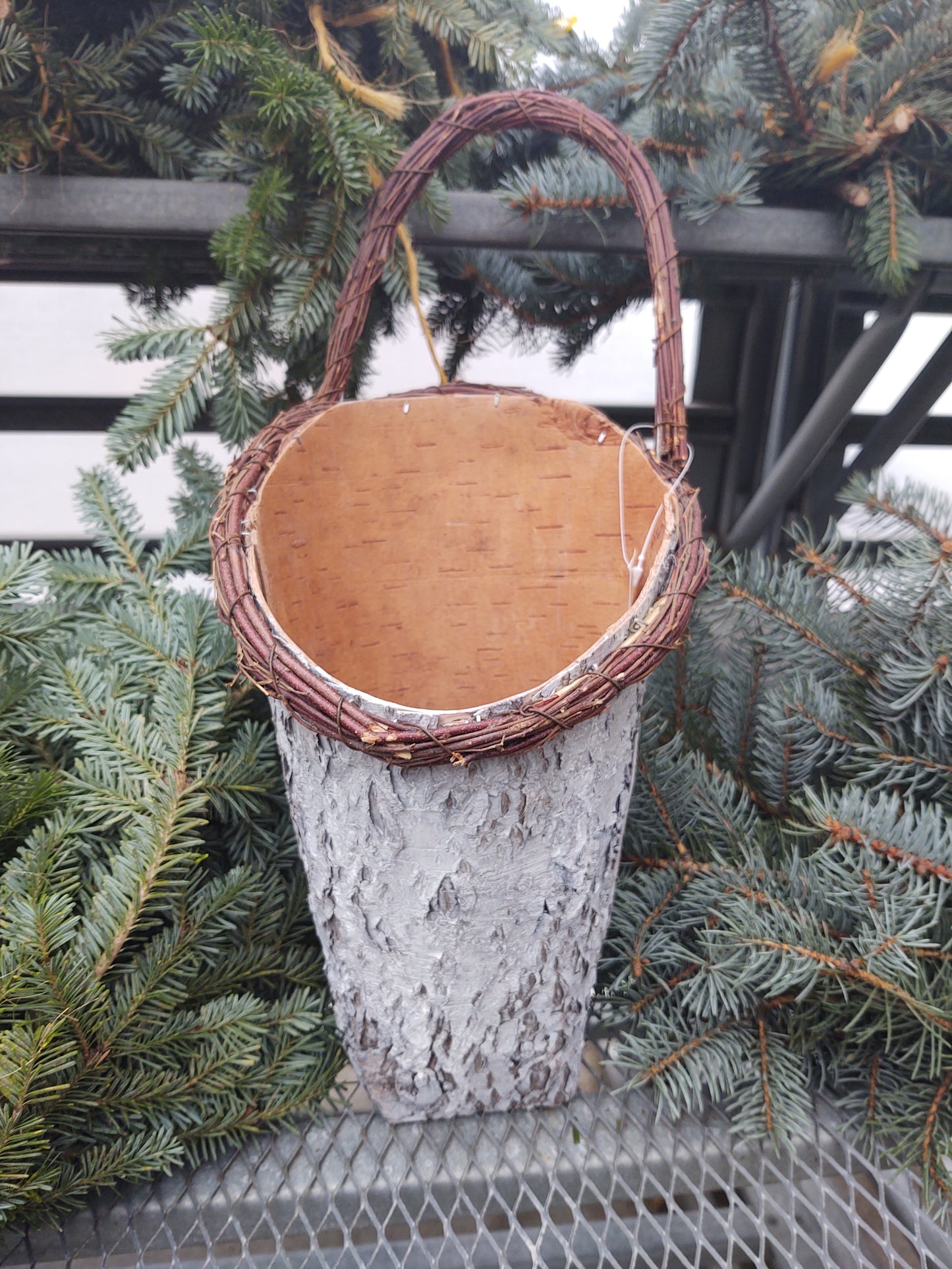 white birch wall decor