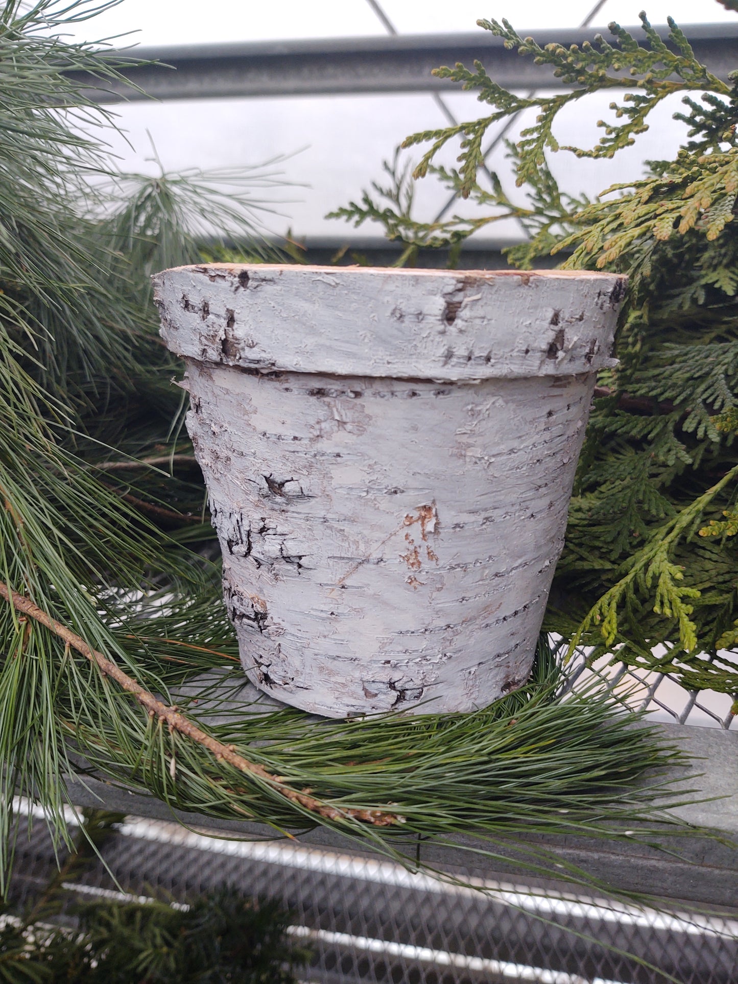 5' round birch pot