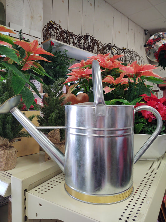 Galv watering can 2g