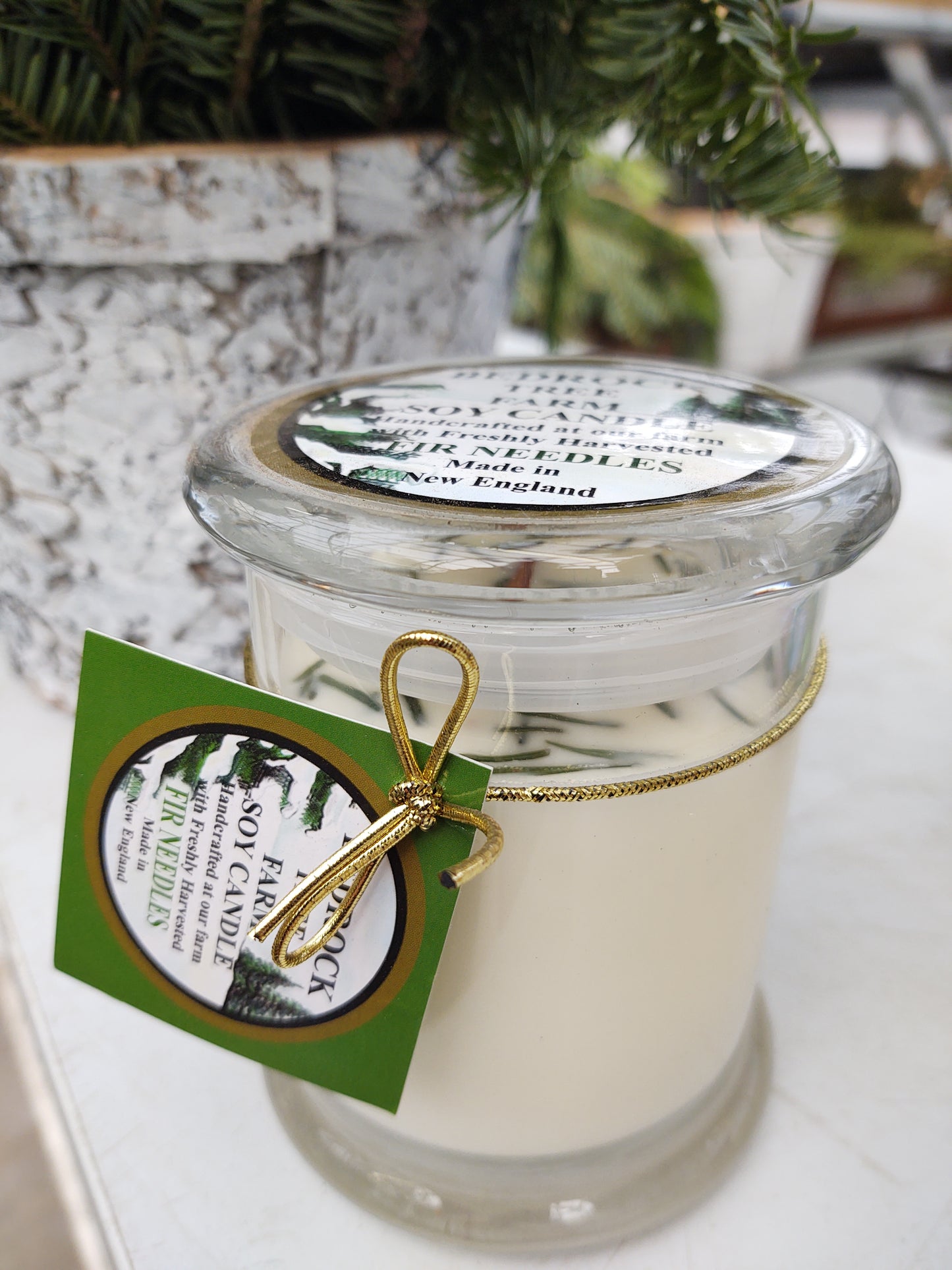 12oz soy candle jar fir needles nat