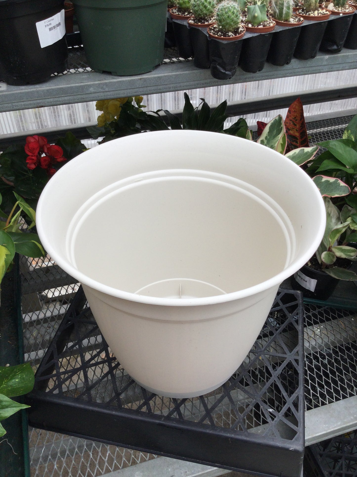 12" Eclipse Rd Plntr Stone