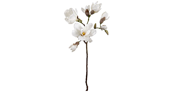 27' Magnolia stem White