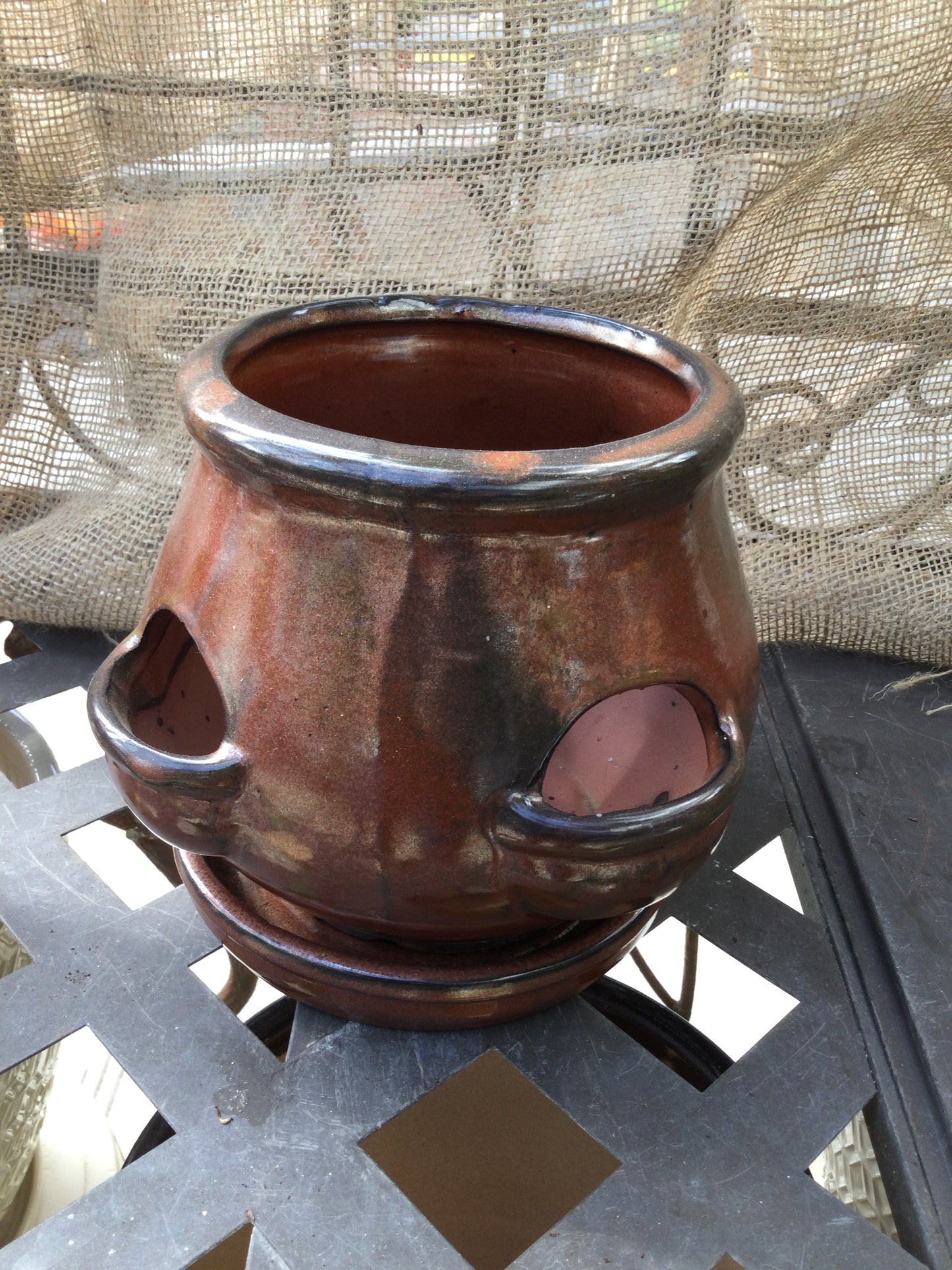 cactus/Strawberry jar