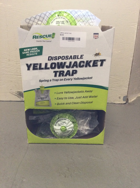 yellow jacket trap
