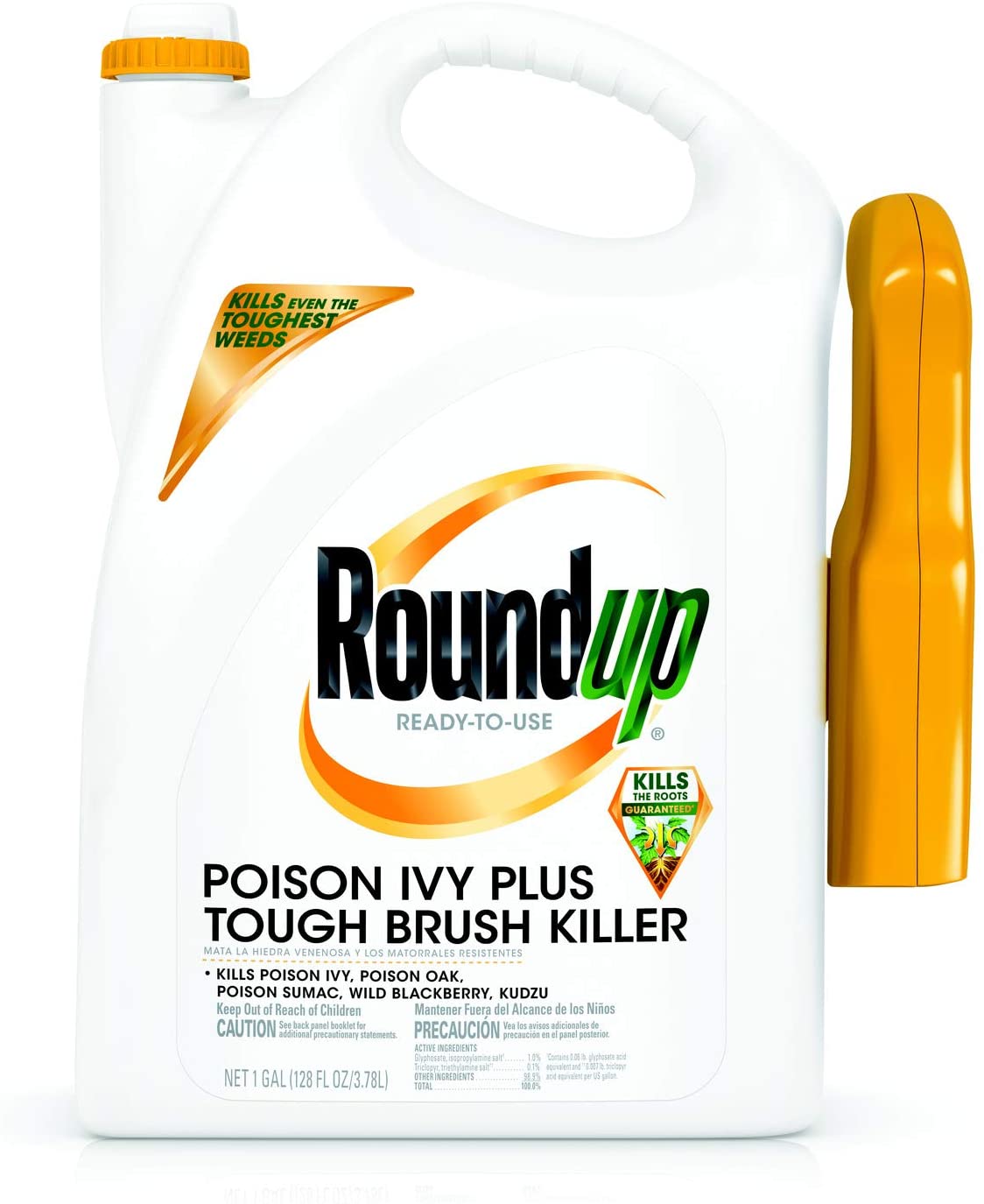 roundup ivy kill rtu 1gal