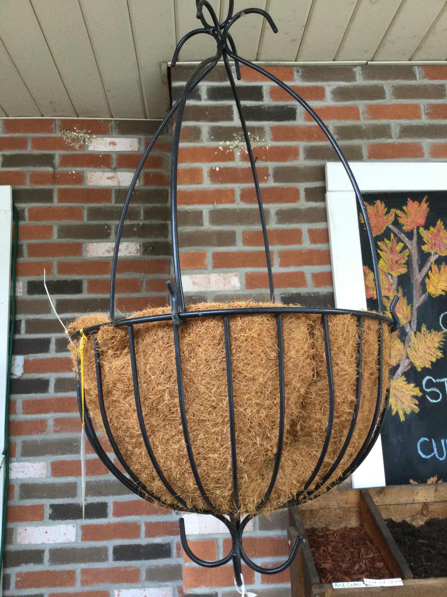 17" Euro Hanging Basket