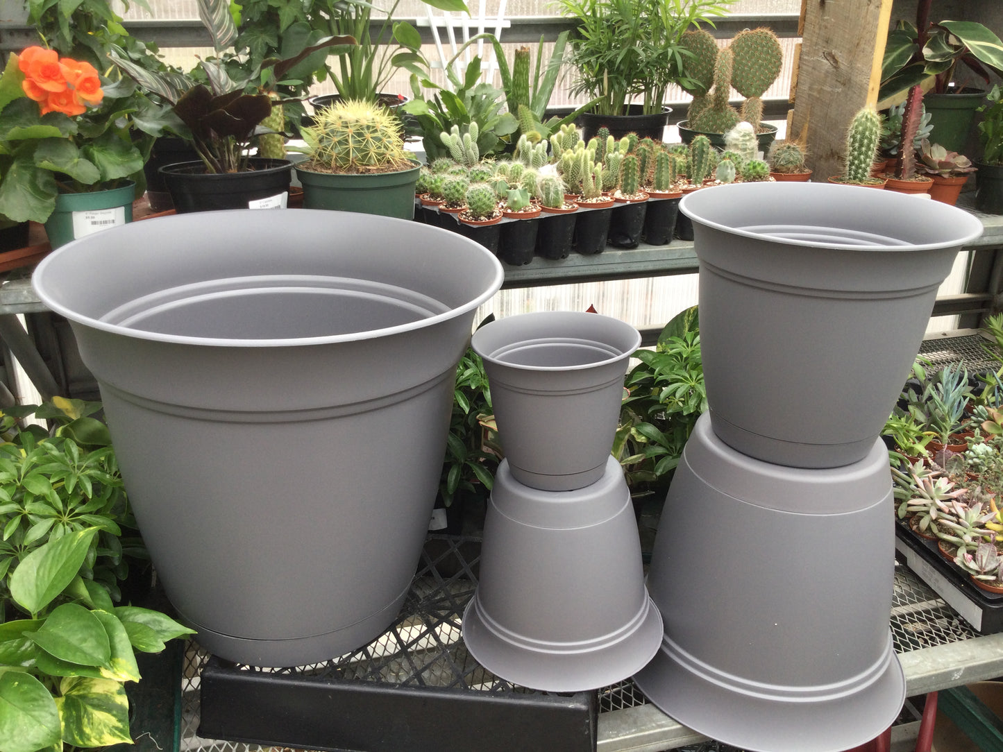 8' Eclipse rnd plntr gray