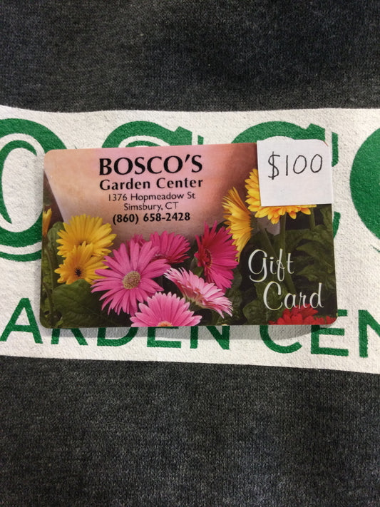 $100 Gift card