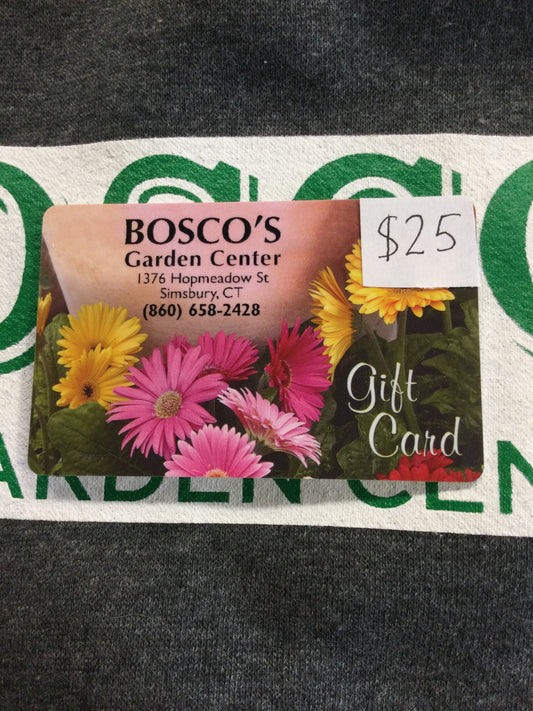 $25 Gift card