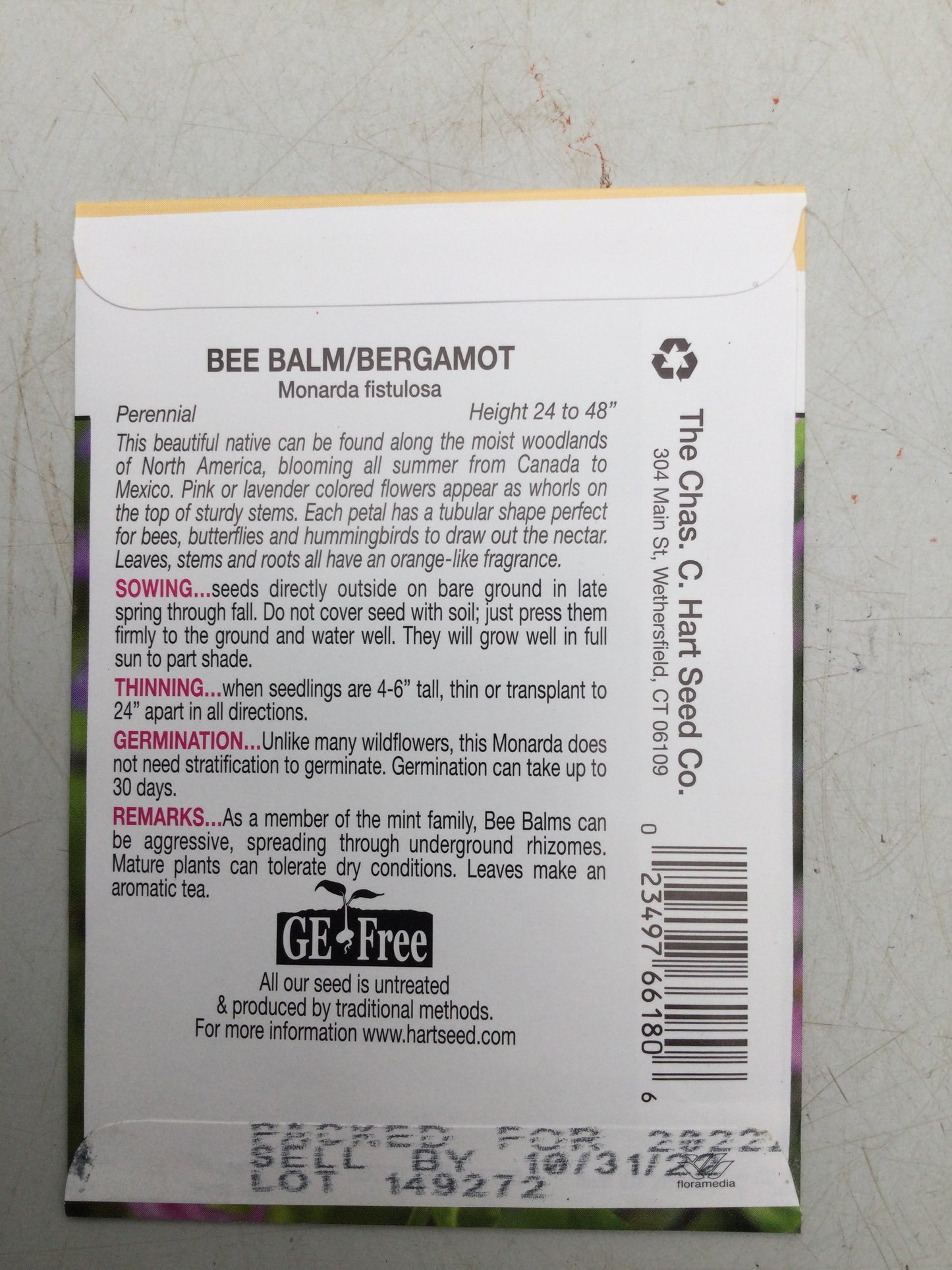 Bee Balm Native
