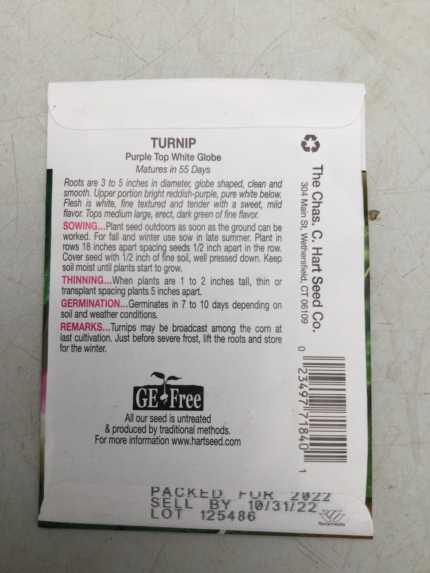 Turnip purple top