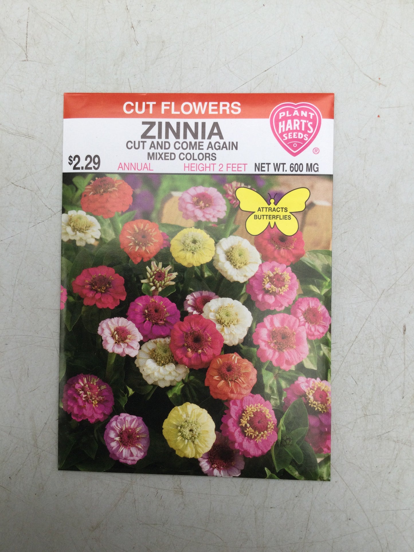 Zinnia cut & come again