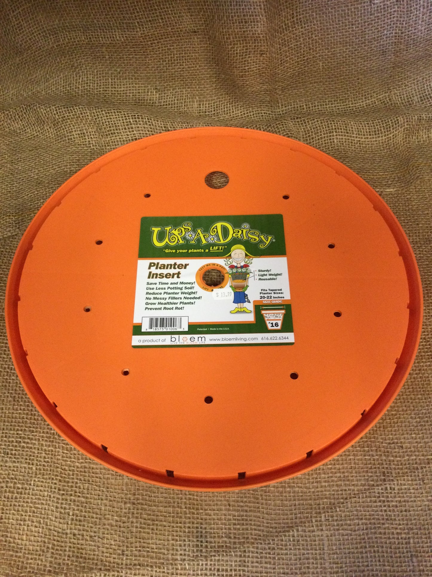 Ups A Daisy 16"
