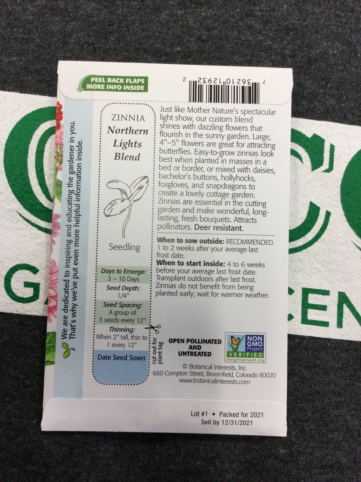Zinnia Northern Lights Blend