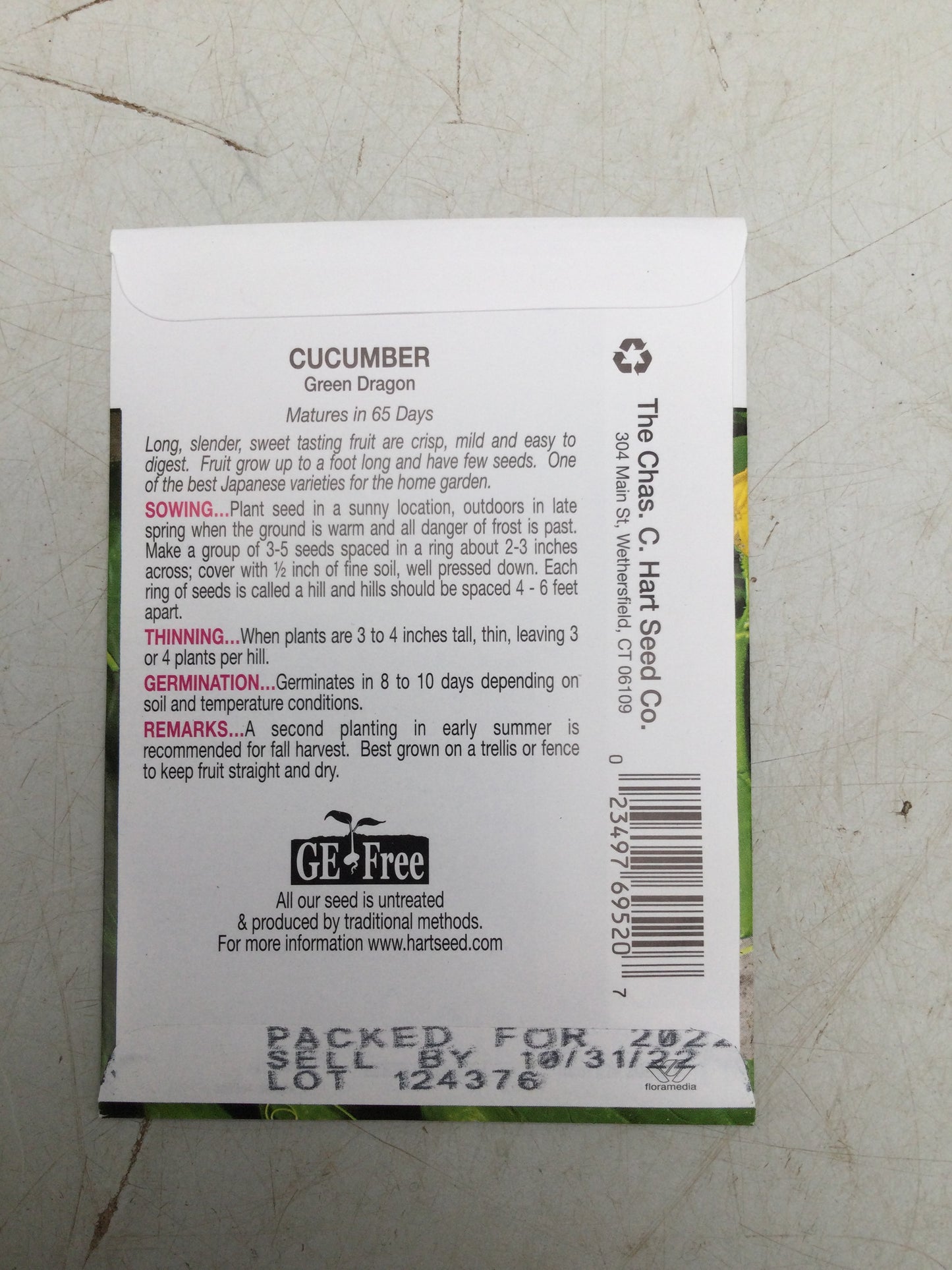 Cucumber Green Dragon