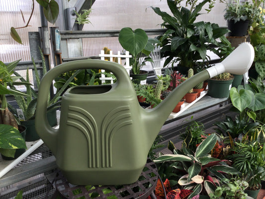 2 gal water can living green