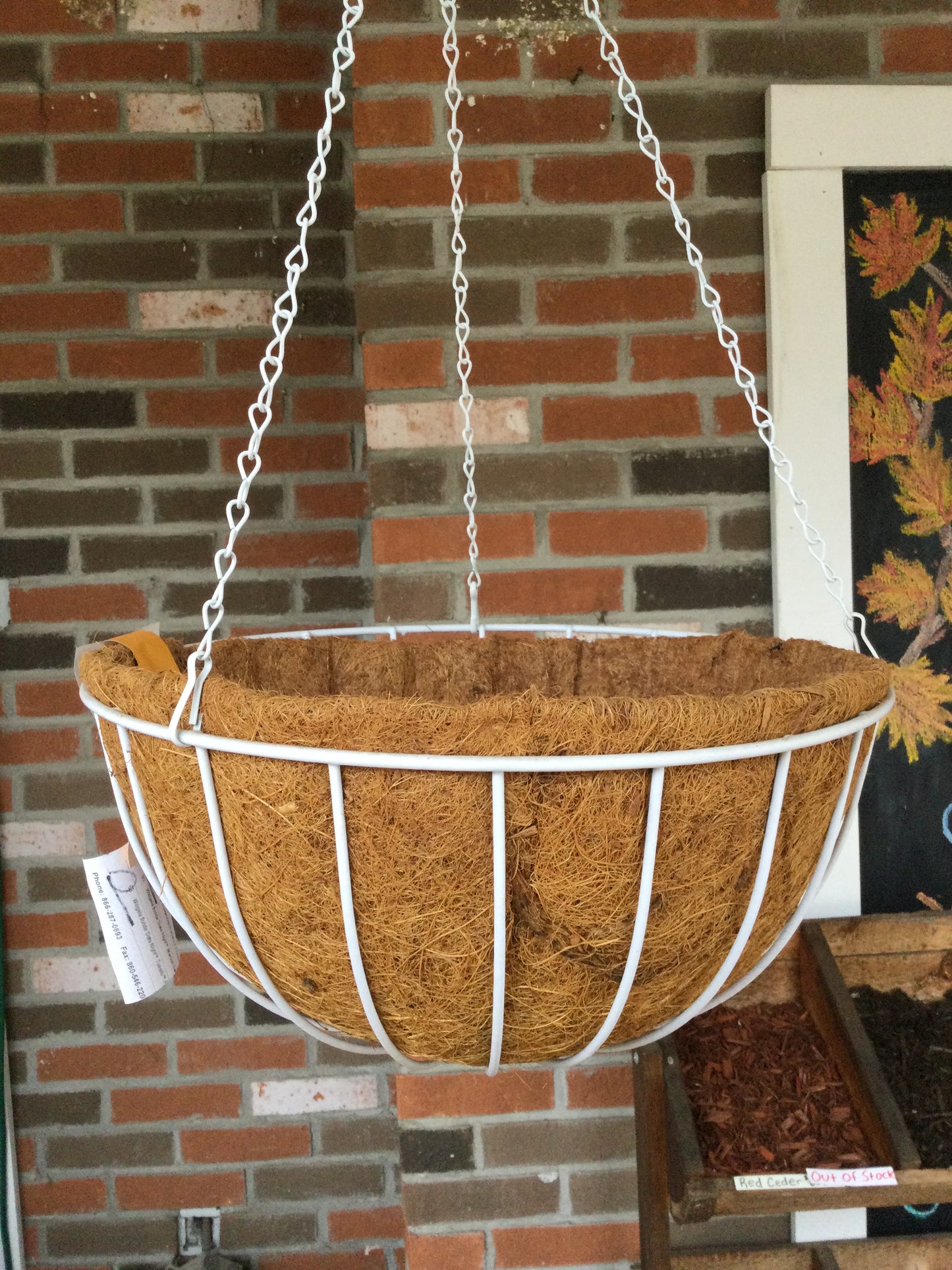14" Hanging Basket Wh