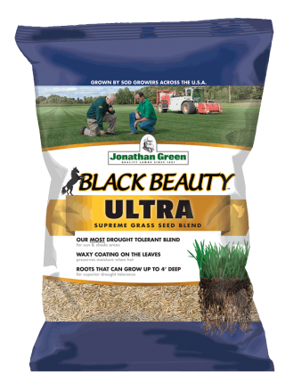 Blk Beauty Ultra 3lb