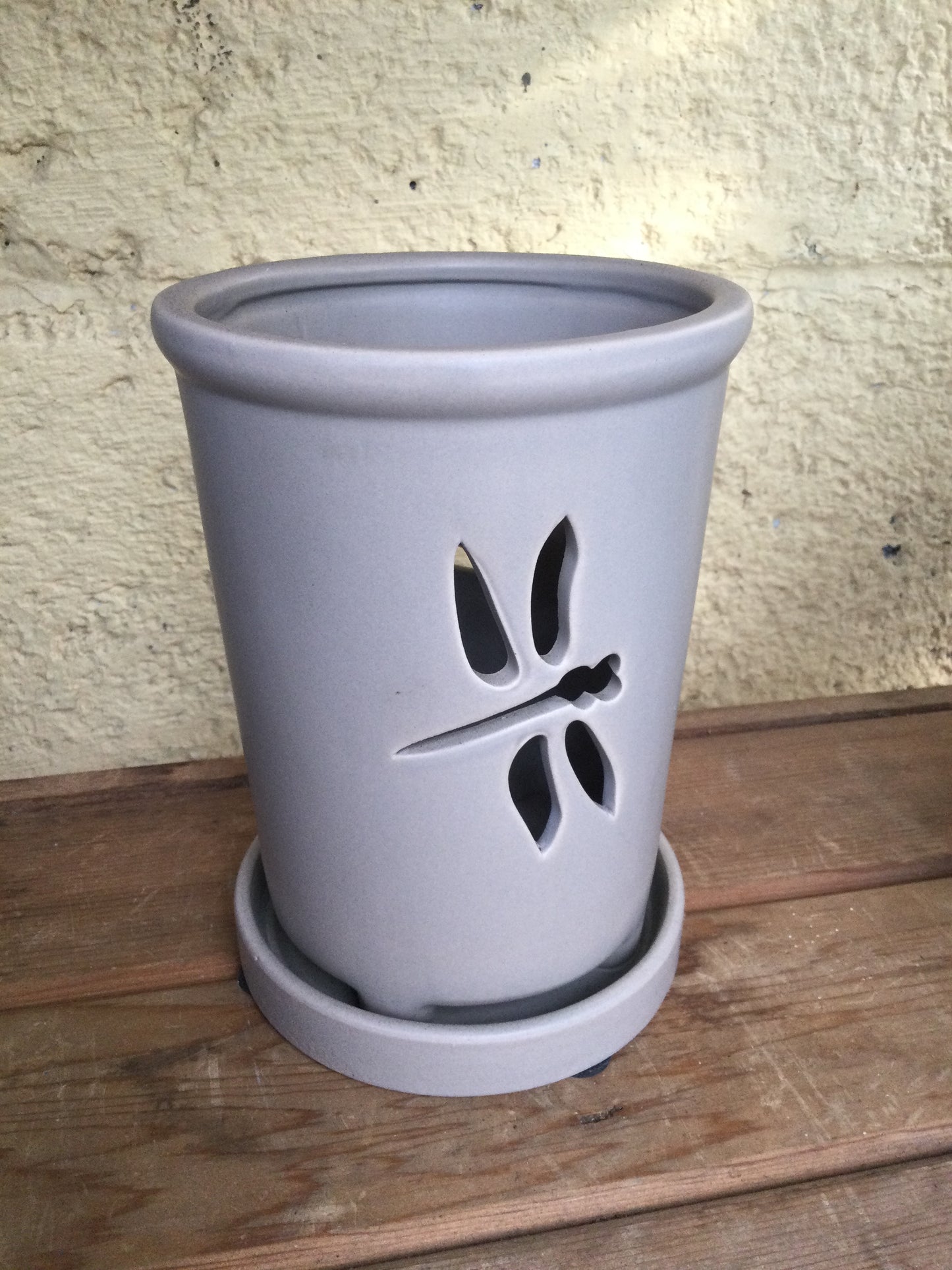 4' butterfly orchid pot