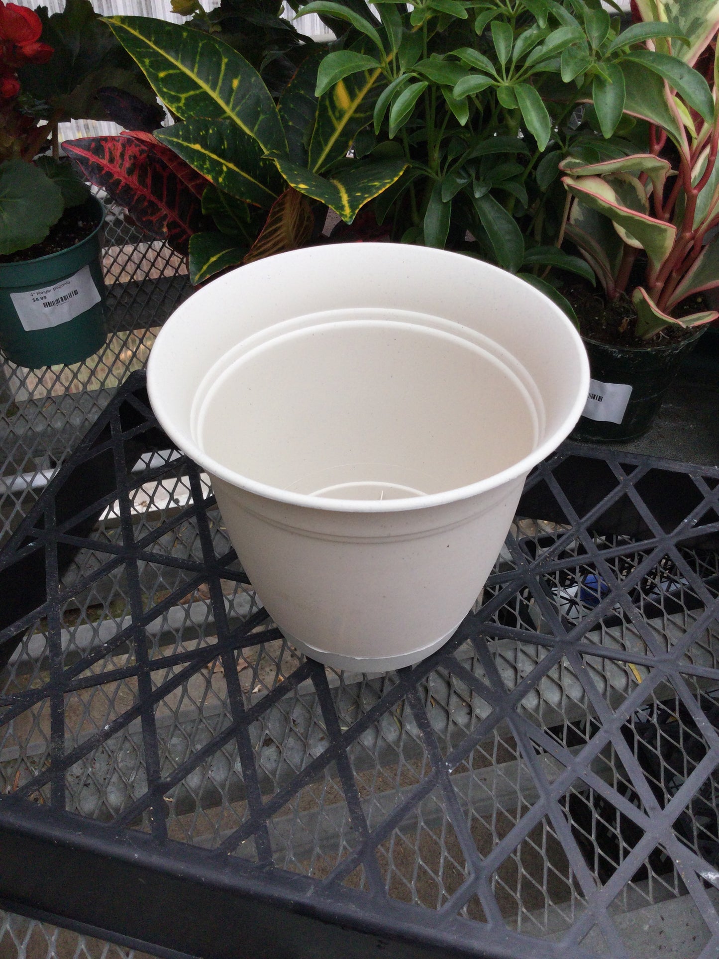 6' Eclipse Rd plntr Stone