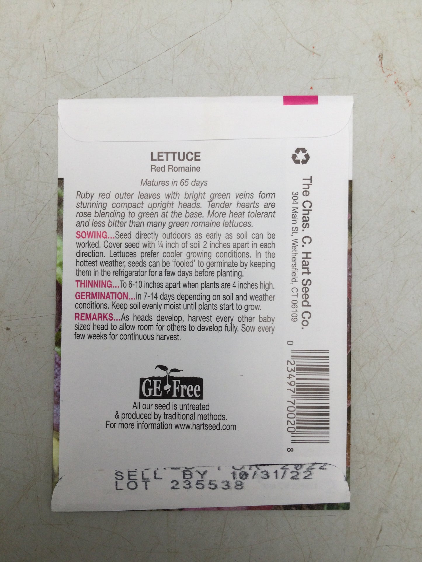 Lettuce Iceberg