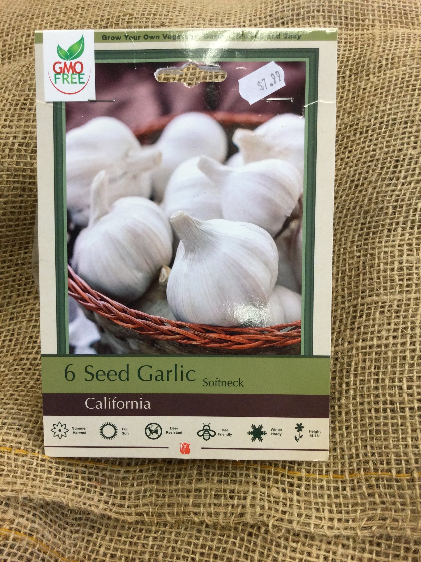 Seed garlic 6pk