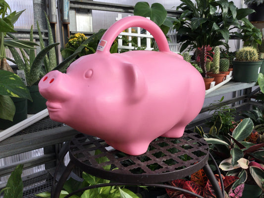 Pig watering can