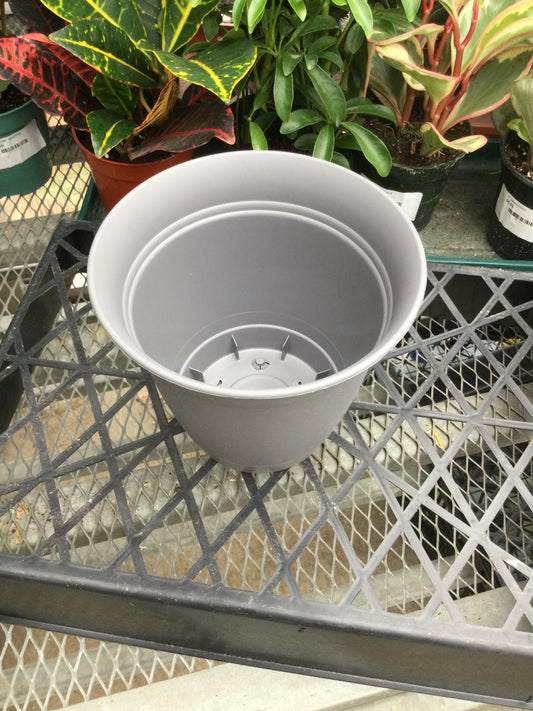 6' Eclipse Rd Plntr Gray