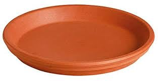 SAUCER 6' Tc
