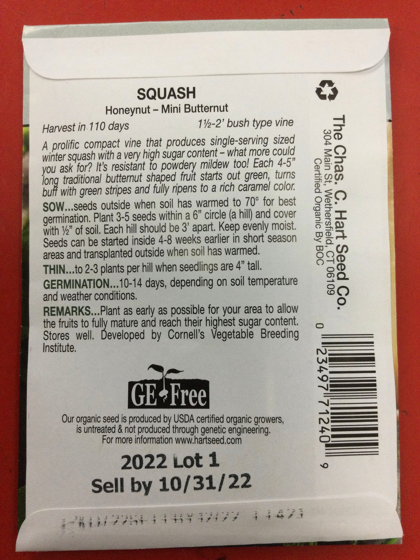 Org Squash honeynut