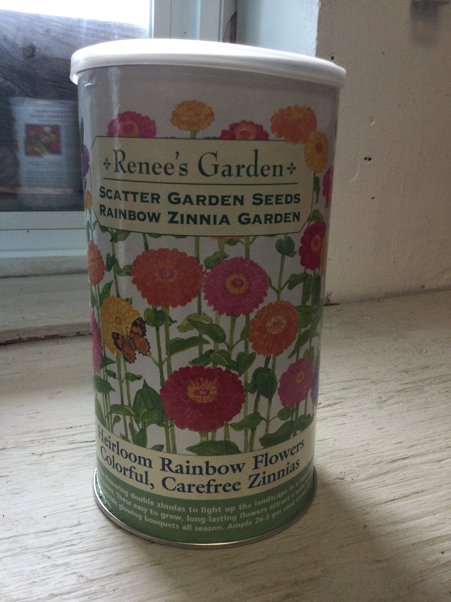 Scatter Garden Rainbow Zinnia