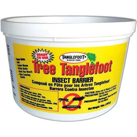 Tree Tanglefoot Insect Barri