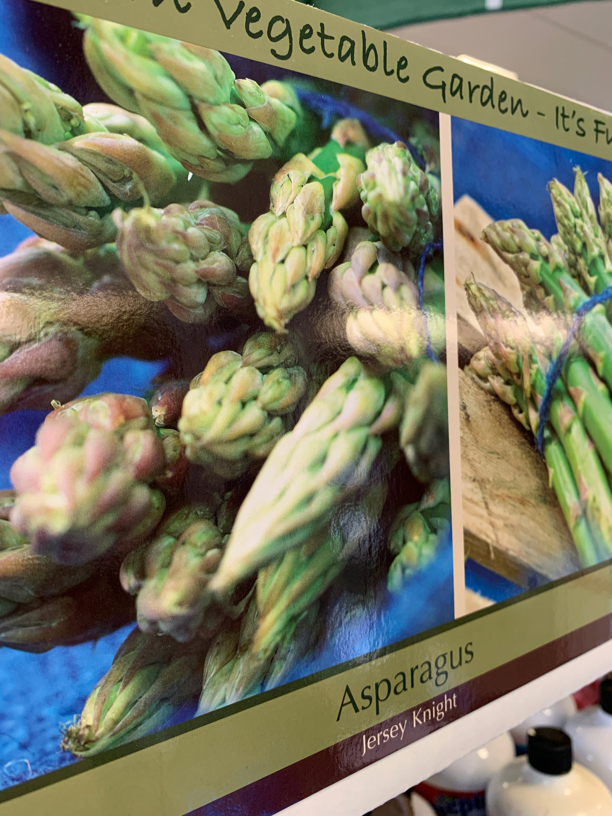 Jersey Knight Asparagus