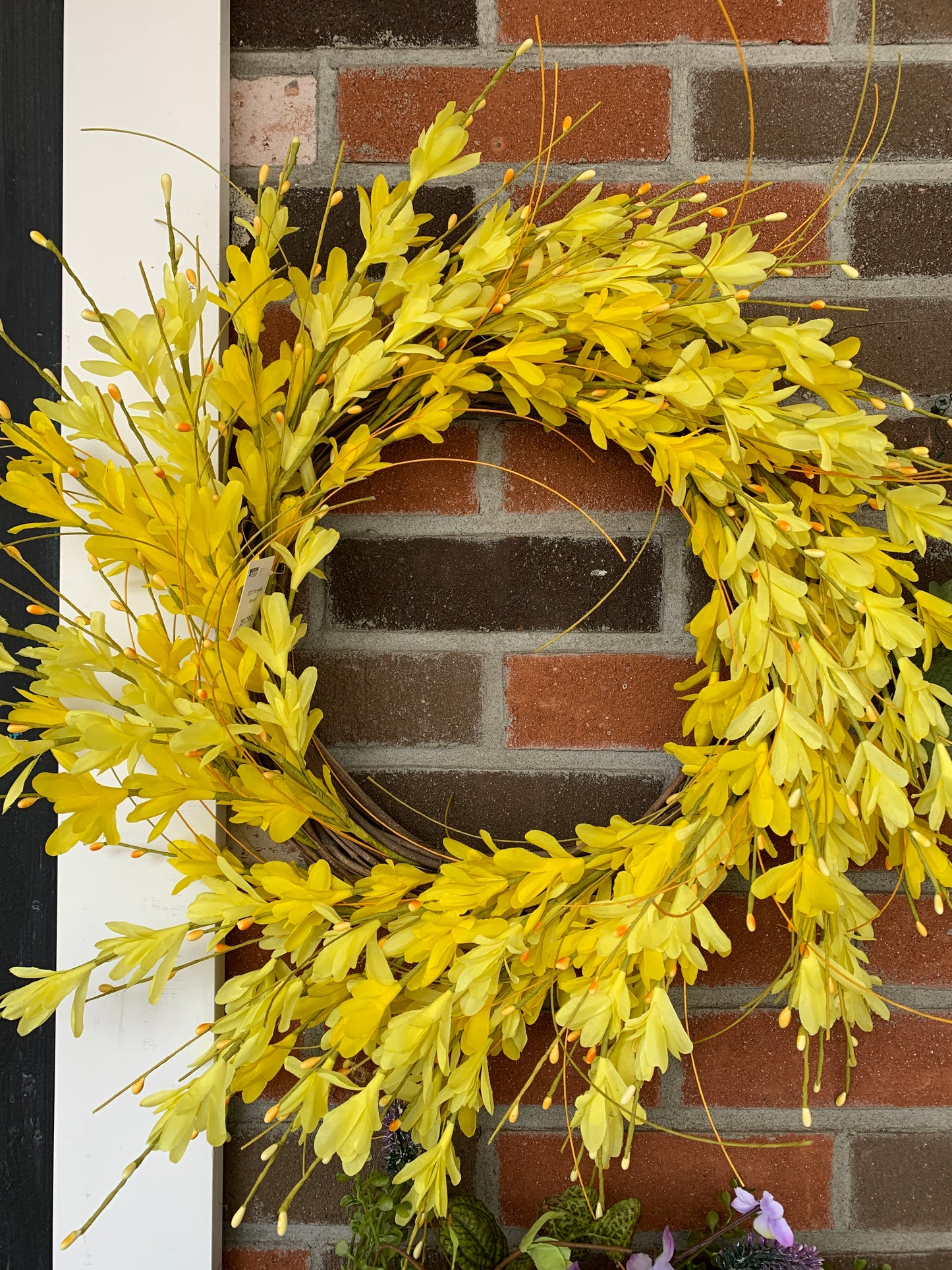 20' forsythia wreath
