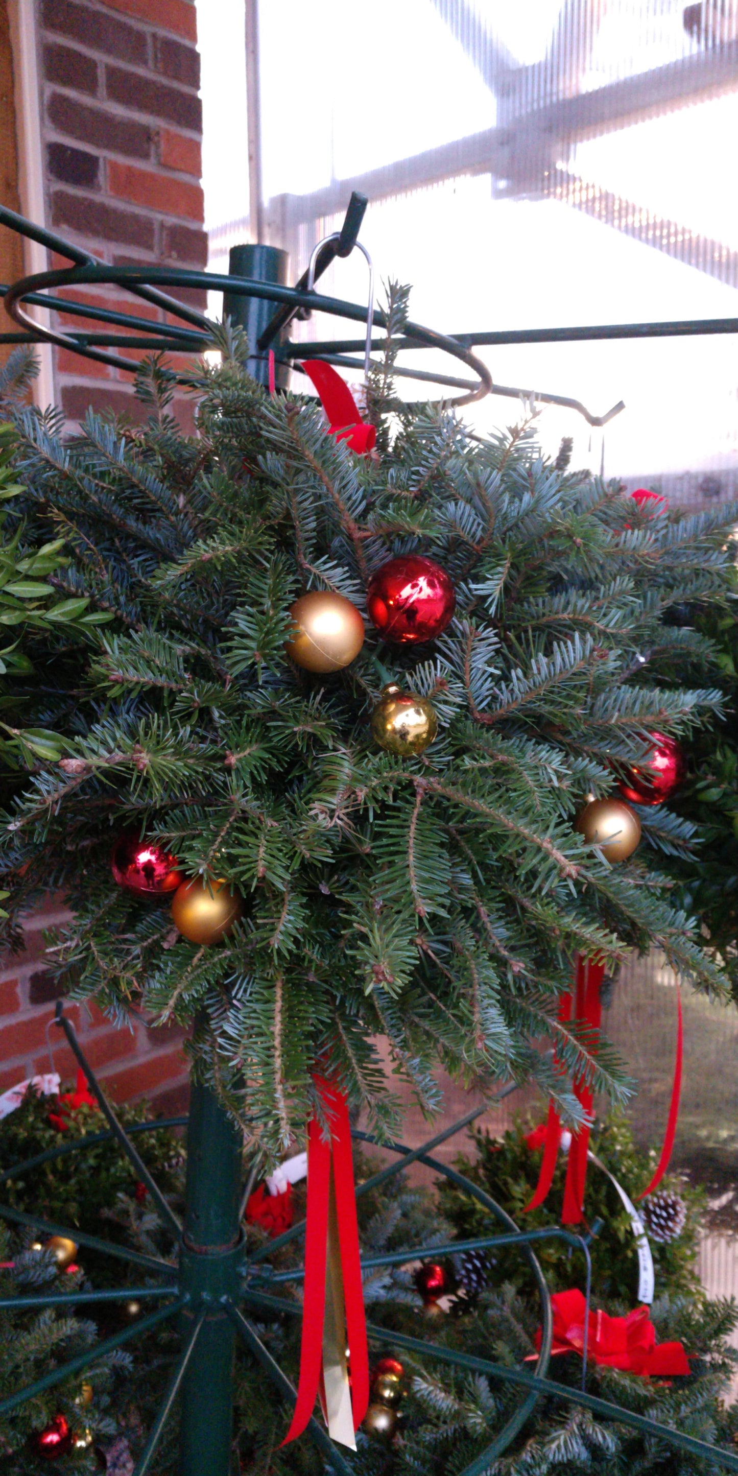 Fraser Fir Dec W/balls