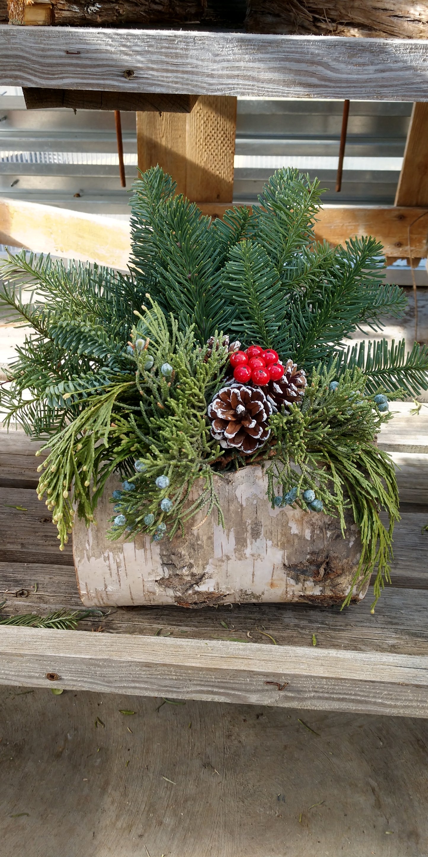 Mini Birch Log planter