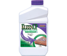 Kleenup 32oz Con
