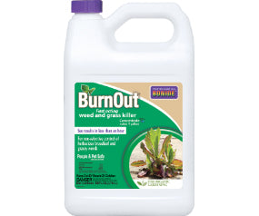 Burnout 1Gal Con
